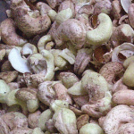 Premium CashewNuts with skin