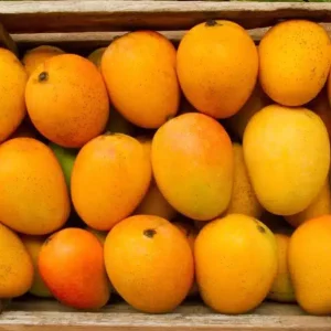 Original Devgad Alphonso Mangoes